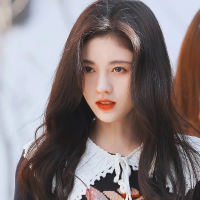 鹰爪螳螂